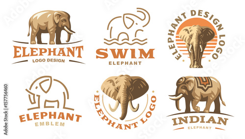 Fototapeta Set elephant logo - vector illustration, emblem design