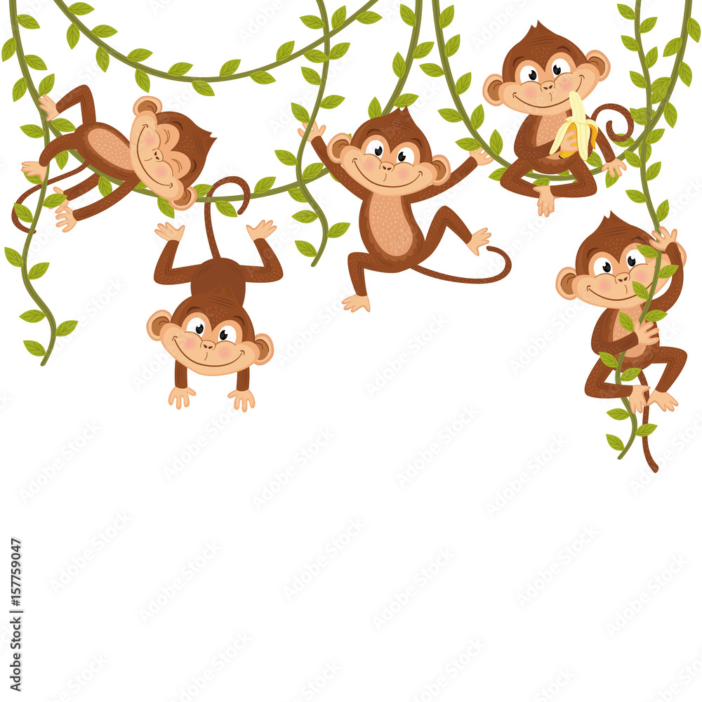 Obraz premium małpa na winorośli - ilustracja wektorowa eps