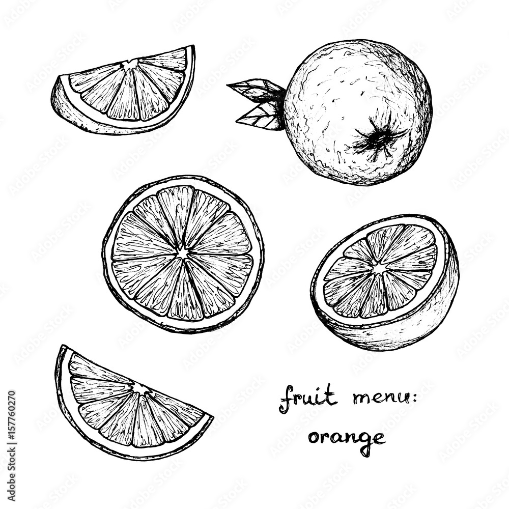 Fruit Menu - Orange - hand-drawn objects Fruit Menu - Orange - hand-drawn objects