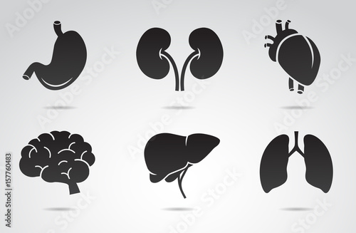 Human organs vector icon set - stomach, liver, lungs, brain. kidney, heart.
