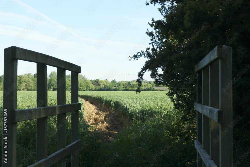Fototapeta premium bridge to nowhere