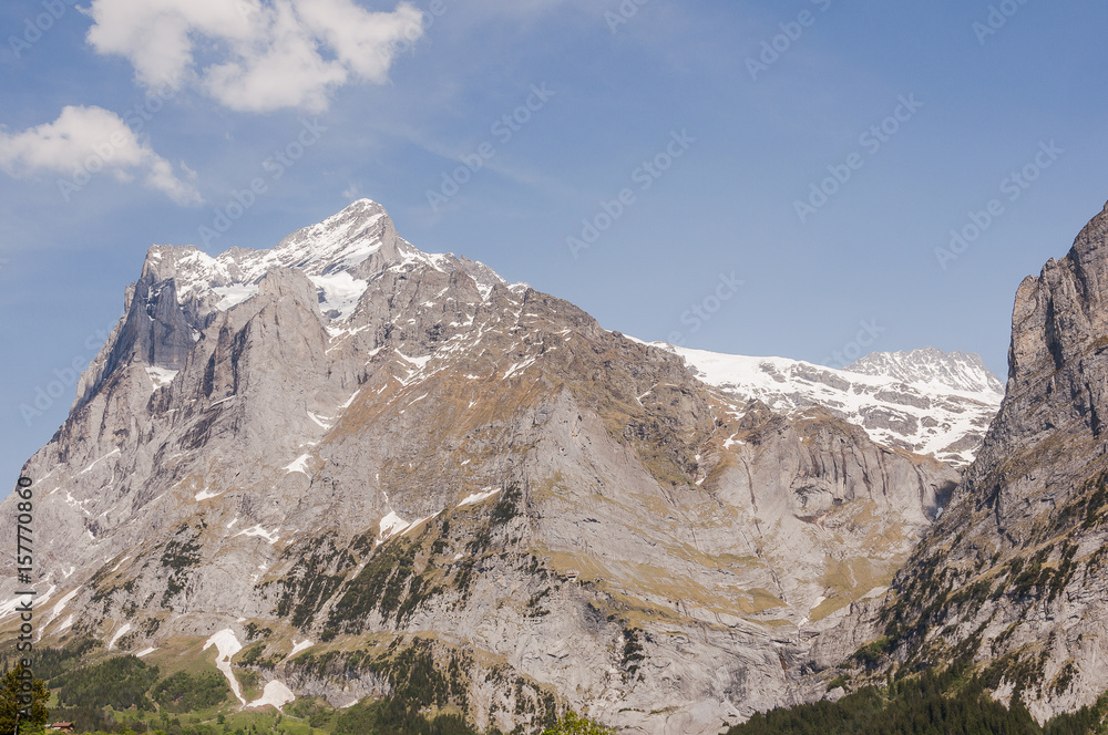 Grindelwald, Dorf, Berner Oberland, Wetterhorn, Grosse Scheidegg, Alpen, Schweizer Berge, Wanderweg, Frühling, Sommer, Schweiz