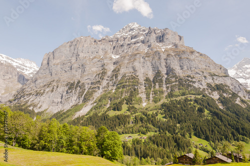 Grindelwald, Dorf, Berner Oberland, Alpen, Schreckhorn, Pfingstegg, Eiger, Wanderweg, Schweizer Berge, Frühling, Sommer, Schweiz photo