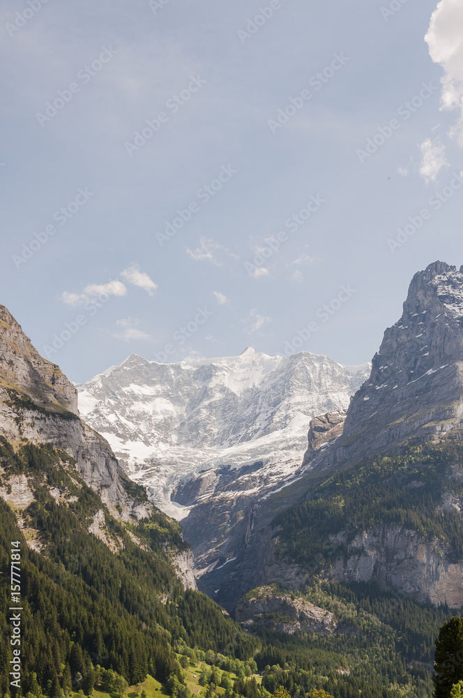 Grindelwald, Grindelwaldgletscher, Gletscher, Eiger, Eigernordwand, Alpen, Berner Oberland, Schweizer Berge, Schreckhorn, Frühling, Sommer, Schweiz