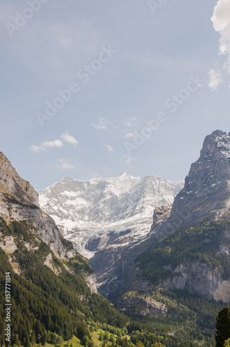 Grindelwald, Grindelwaldgletscher, Gletscher, Eiger, Eigernordwand, Alpen, Berner Oberland, Schweizer Berge, Schreckhorn, Frühling, Sommer, Schweiz