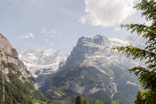 Grindelwald, Dorf, Eiger, Eigernordwand, Alpen, Schweizer Berge, Berner Oberland, Schreckhorn, Grindelwaldgletscher, Frühling, Sommer, Schweiz