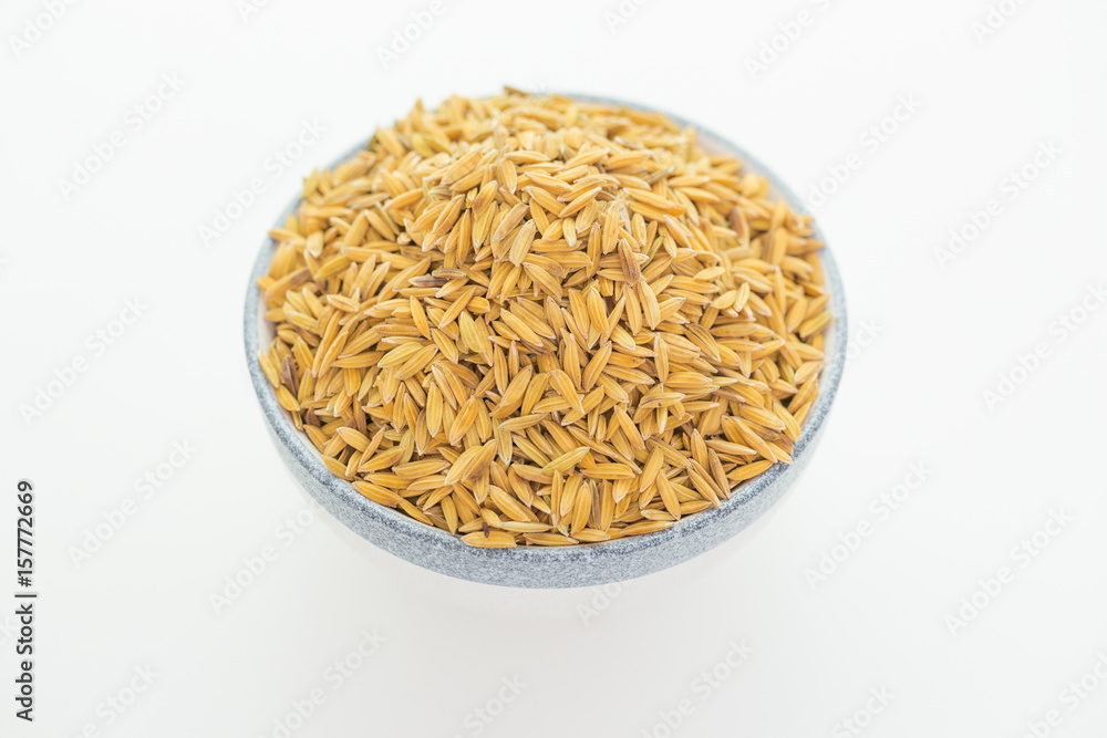 Rice paddy bowl Rice paddy bowl