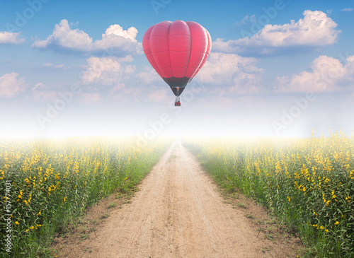 Red hot air balloon over dirt road with yellow flower field