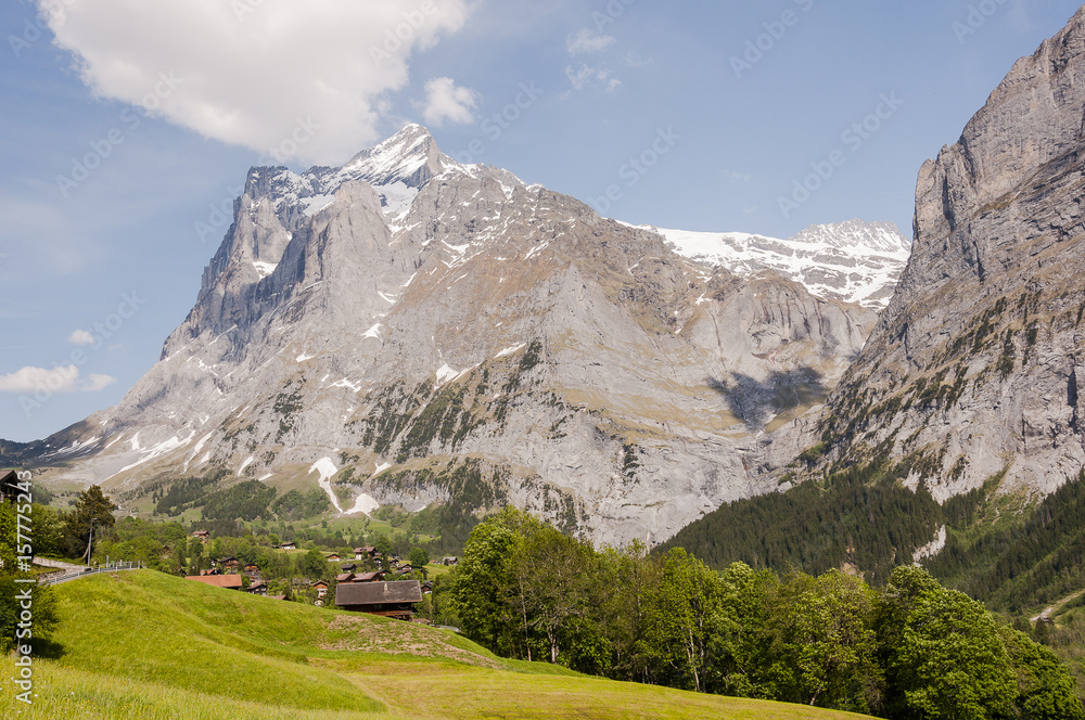 Grindelwald, Dorf, Berner Oberland, Alpen, Wetterhorn, Grosse Scheidegg, Wanderweg, First, Schweizer Berge, Frühling, Sommer, Schweiz
