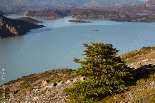 Fototapeta Naklejka Na Ścianę i Meble -   Top view of lake Nordenskjold. National Park Torres del Paine. Patagonia. Chile.