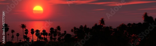 Tropical sunset  sunset over a tropical island with palm trees  3d rendering  