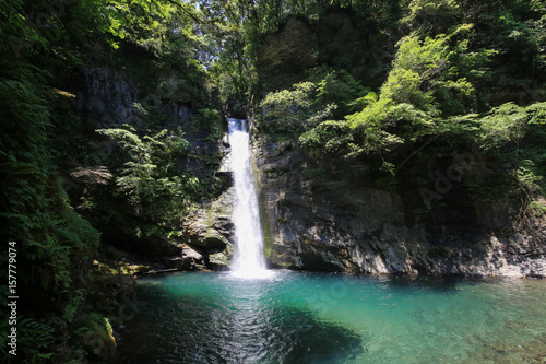 Fototapeta Naklejka Na Ścianę i Meble -  徳島県つるぎ町　土々呂の滝