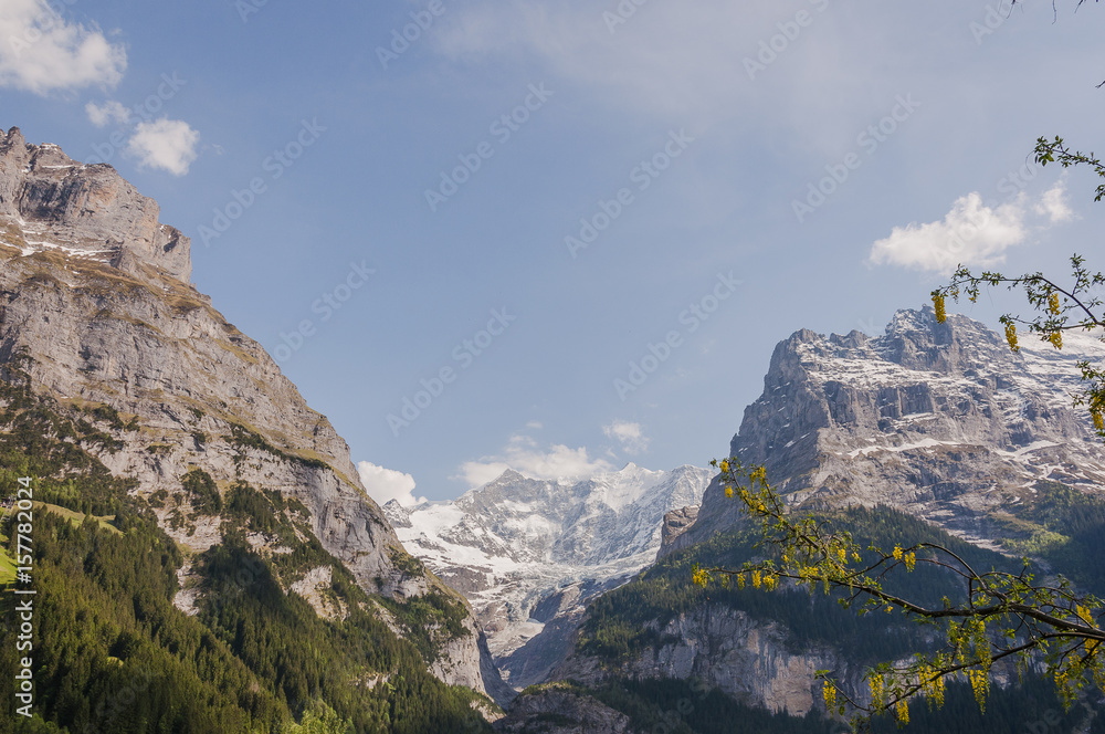 Grindelwald, Dorf, Eiger, Eigernordwand, Schreckhorn, Pfingstegg, Gletscher, Berner Oberland, Alpen, Schweizer Berge, Frühling, Sommer, Schweiz