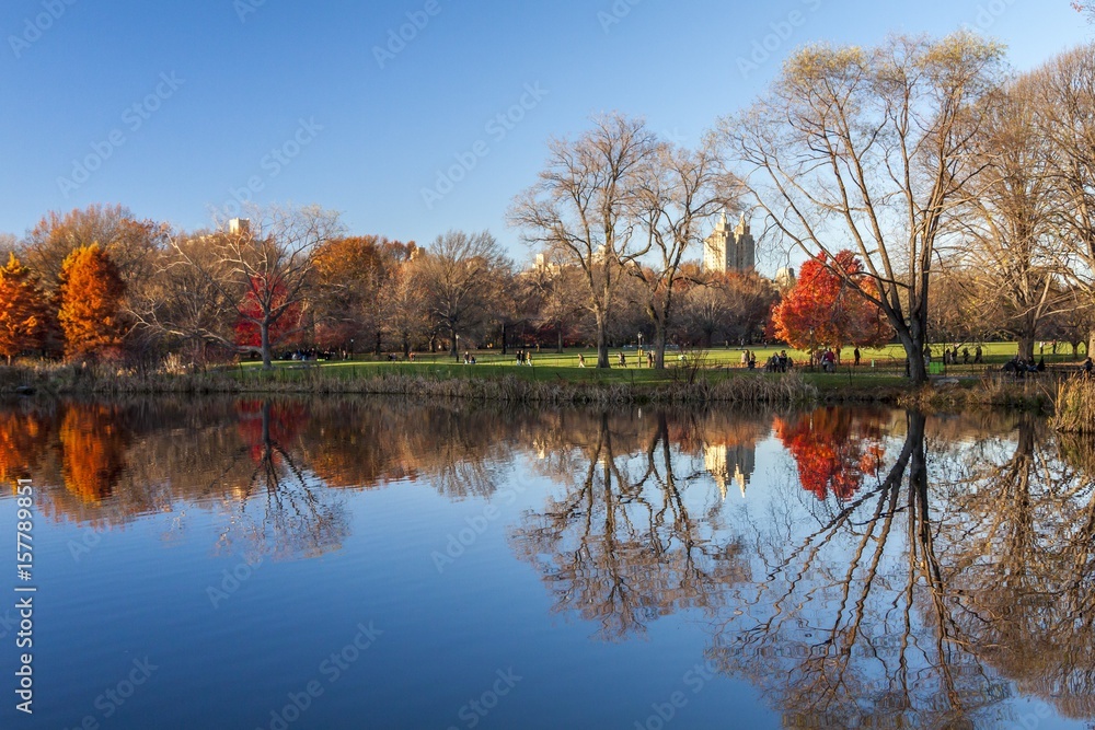Obraz premium Central Park, New York City, USA