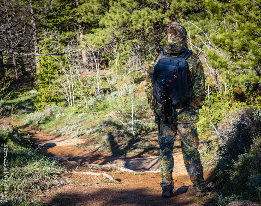Hiker man photographer in camouflage outfit with a backpack and tripod standing on a mountain forest trail and watching wildlife, rear view
