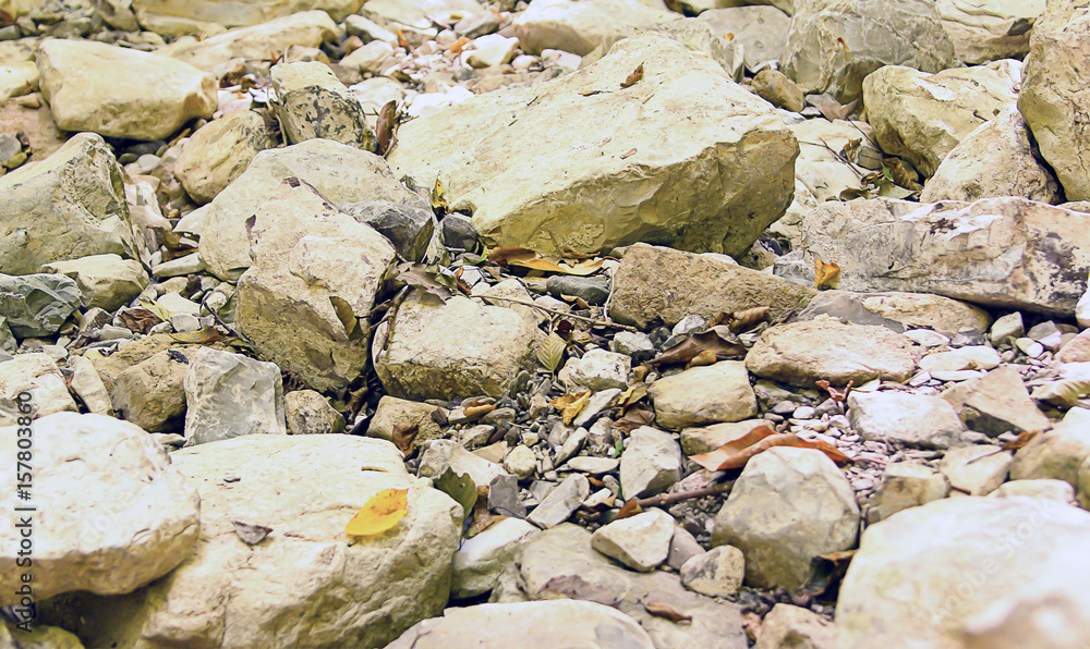 landscape with large and small stones covered with fallen leaves hillside