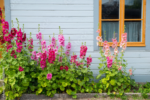 Konstfotografi Stockflower outside Vadstena station
