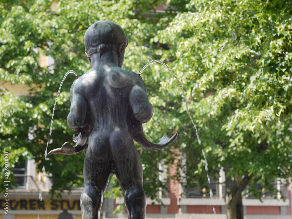 Fototapeta premium Aachen Fischpüddelchen 1