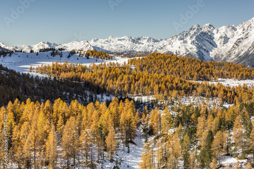 Mountain peaks covered in snow with autumnal larches. Valmalenco, Valtellina, Sondrio, Italy, Europe.
