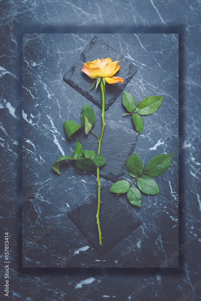 Naklejka premium Single Yellow Rose