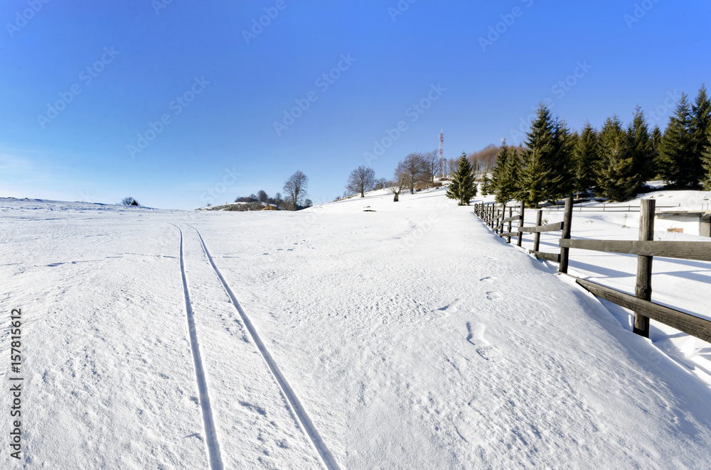 A Pastoral Scene Of Snow Covered Fences, Trees And Walking Paths trails