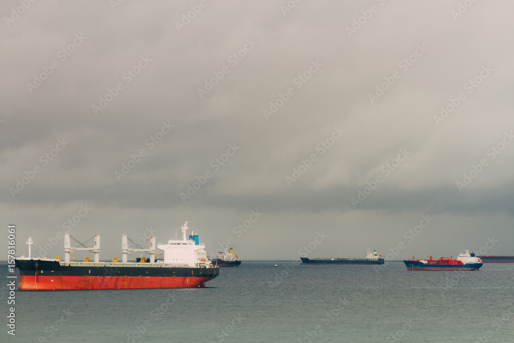 Several freighter ships in a bay on a cloudy day