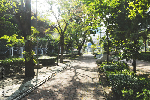 Green trees during the morning sunrise in the park. © wedninth