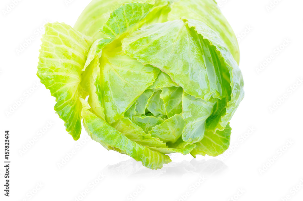 Fototapeta premium cabbages isolated