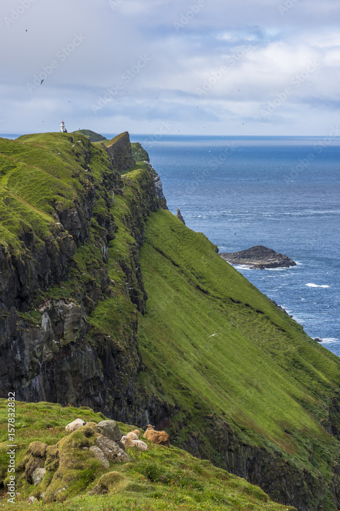 Mykines island, Faroe Islands, Denmark. Cliffs on the way to the lighthouse.