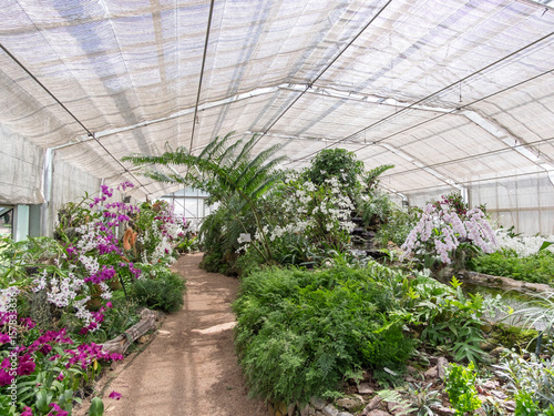 Orchid House in QUEEN SIRIKIT BOTANIC GARDEN, Chiangmai, Thailand