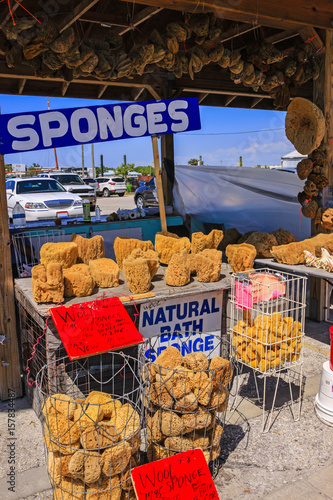 Natural sponges on sale in Tarpon Springs, Florida photo