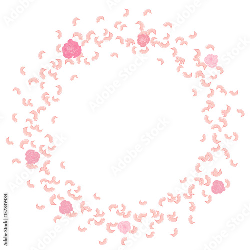 A frame of swirling, flying petals, roses. Whirlwind, wedding background