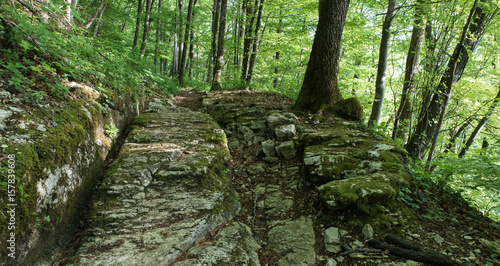 Old ancient roman path trough forest in switzerland