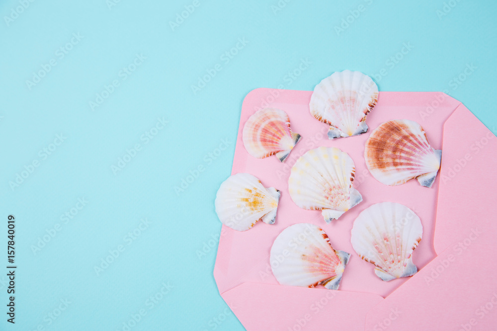 Pink envelope with many scallop shells on colored mint blue background Pink envelope with many scallop shells on colored mint blue background