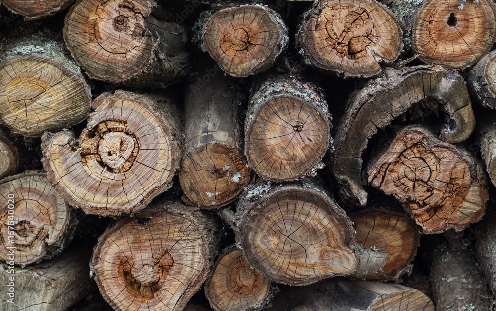 Pile of firewood. Preparation of firewood for the winter. Background