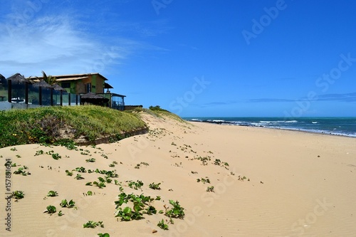 The sandy beach of the ocean. Brazil