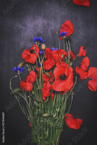 Bouquet of field red poppies