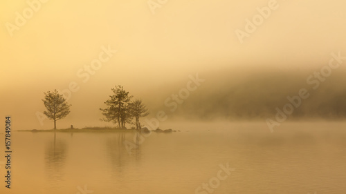 Reflection of trees from the water. Foggy sunrise.