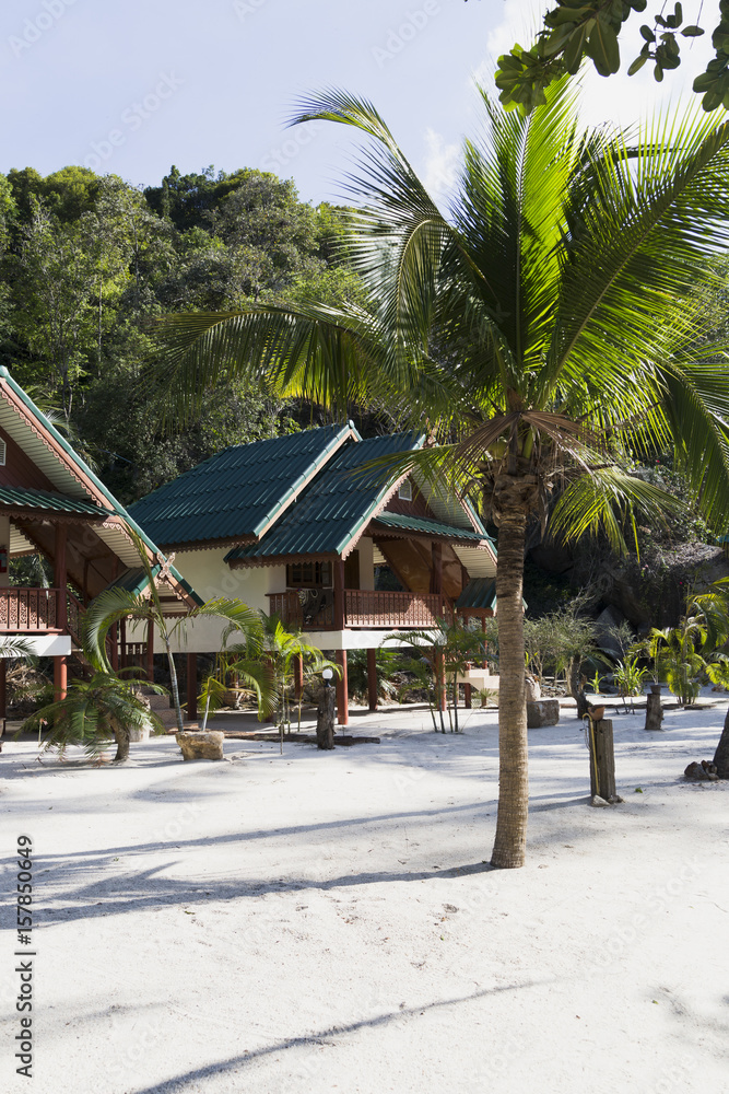 Turquoise water on golden sand in the Andaman Sea