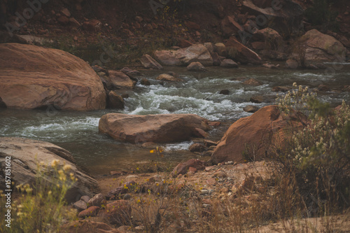 Zion National Park Landscapes