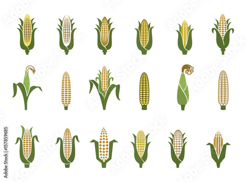 Corn icons. Vector illustration isolated on white background. Concept for organic products label, harvest and farming, grain, bakery, healthy food.