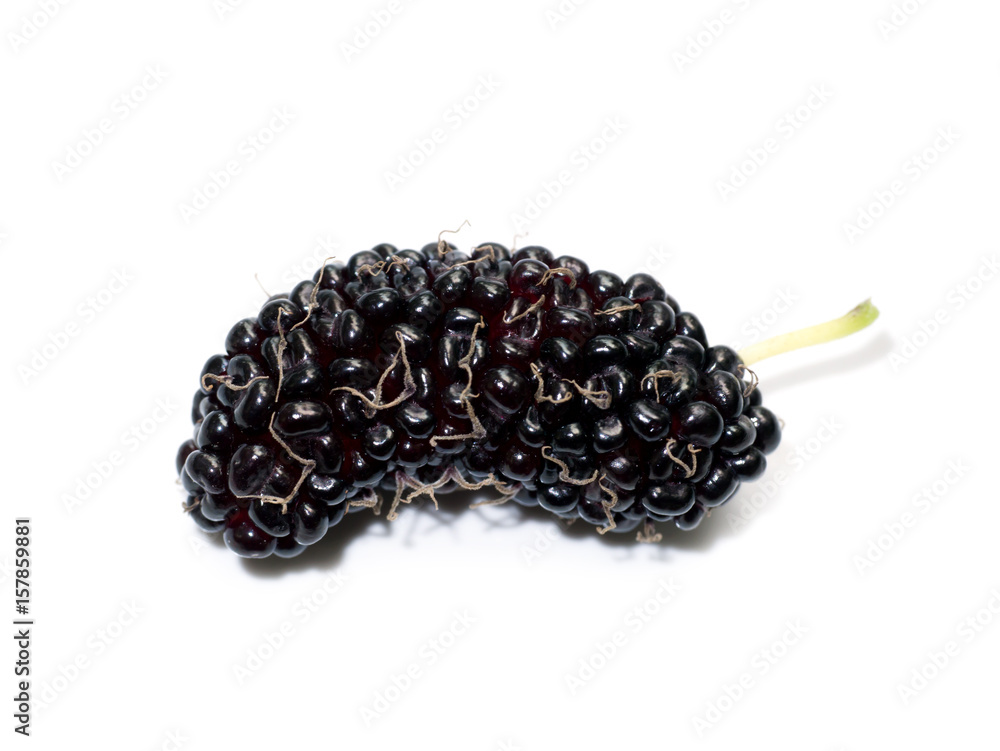 Fresh organic mulberry. Fresh organic mulberry.