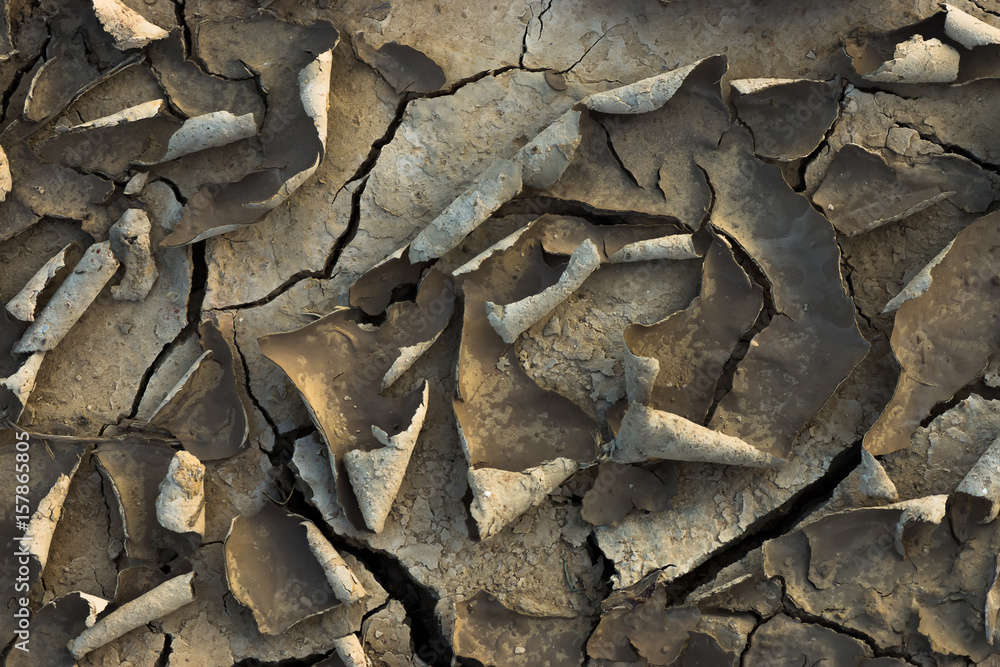 Cracked dried mud in the summer.