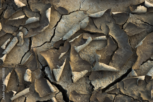 Cracked dried mud in the summer.