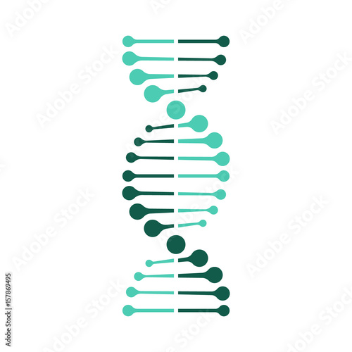 Dna. Vector. 