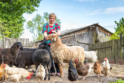 Woman at her sheep farm, animals and nature photo