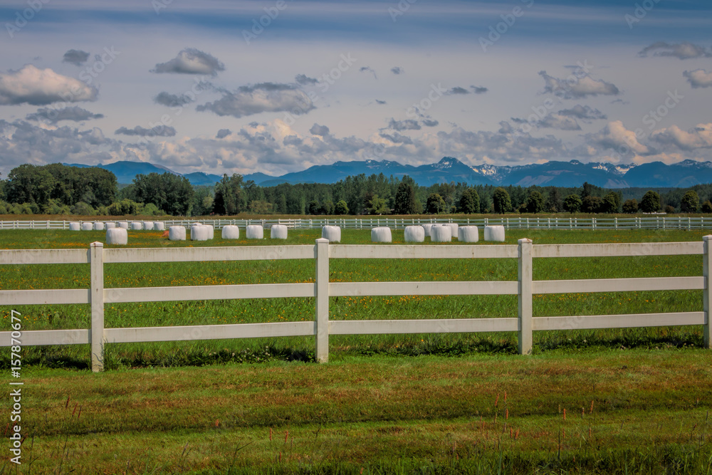 White bale bag covers for round bales in lush green field with mountain background. 