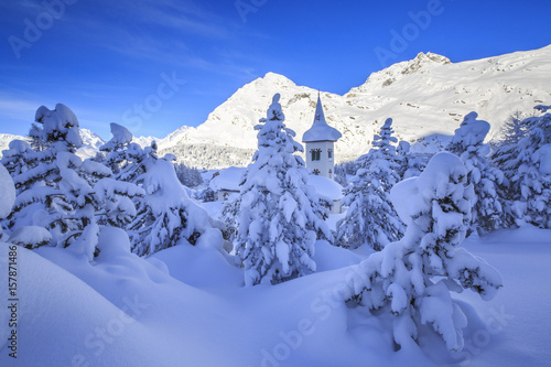 Wallpaper Mural The bell tower submerged by snow surrounded by woods Maloja Canton of GraubÃ¼nden Engadine Switzerland Europe Torontodigital.ca
