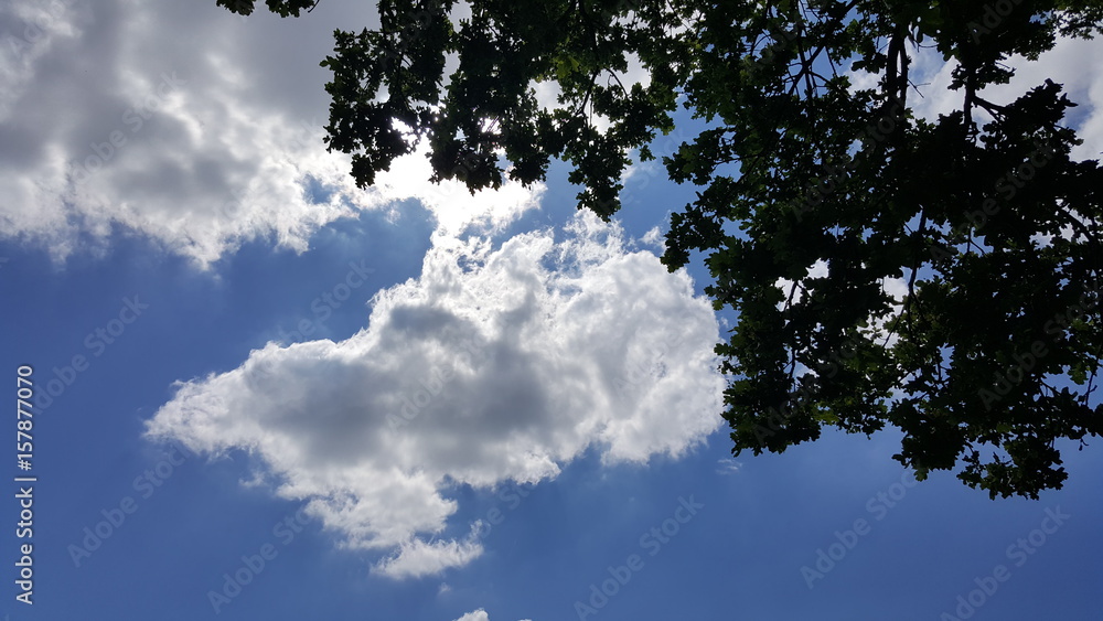 Obraz premium nuages