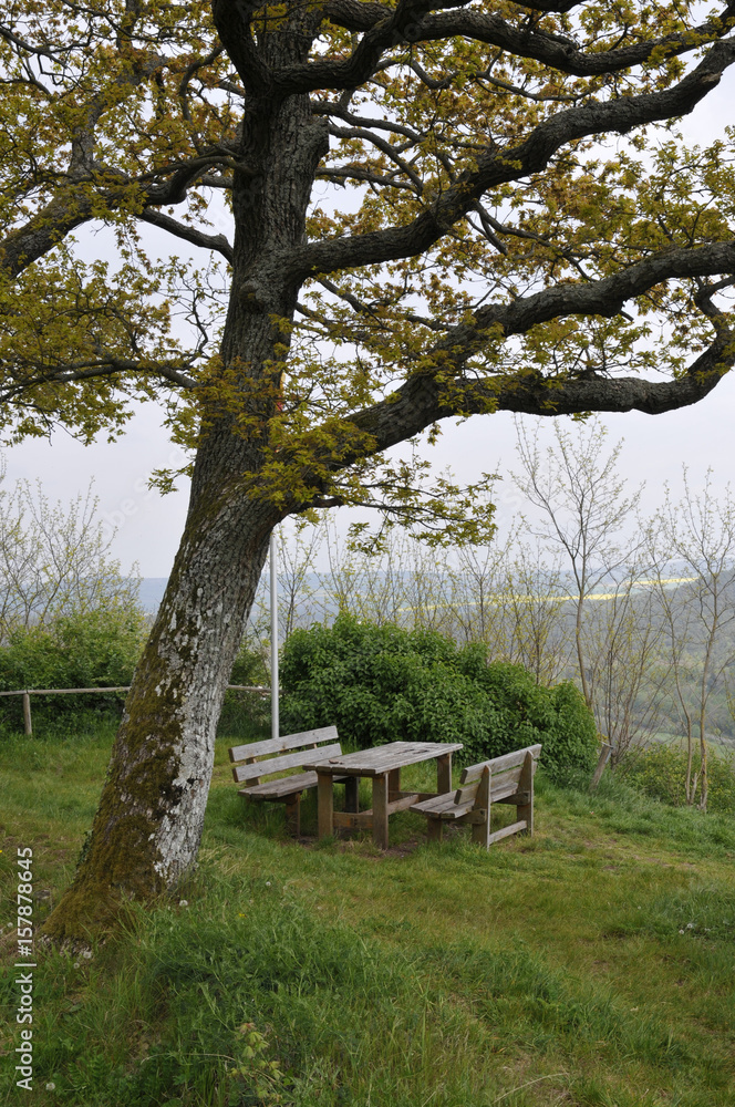 wanderrast auf dem gelände der ehemaligen burg stauf bei eisenberg in der pfalz